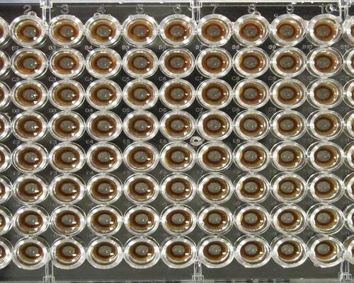 Magnet Plate 96S Super